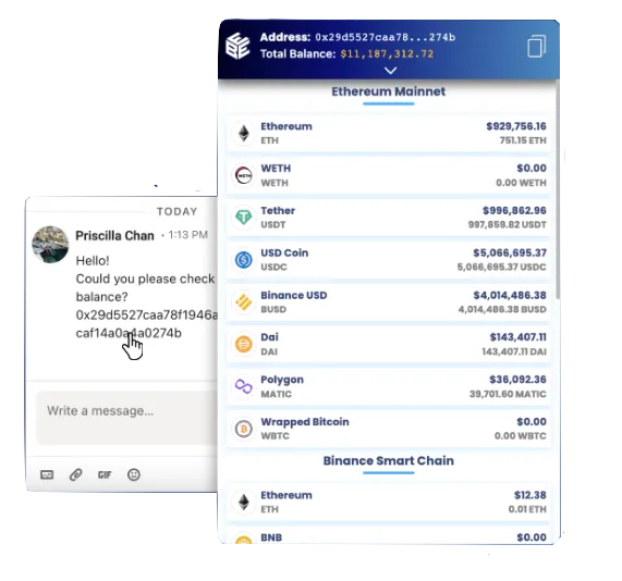 Web3 Balances Viewer interface